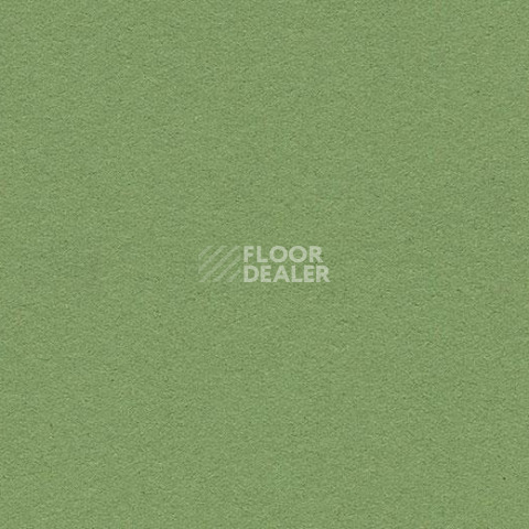 Линолеум Forbo Marmoleum Bulletin Board 2213 baby lettuce фото 1 | FLOORDEALER
